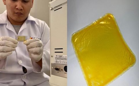 Com apoio da Fapemat, pesquisa da UFMT desenvolve embalagem biodegradável a partir de óleo de pequi