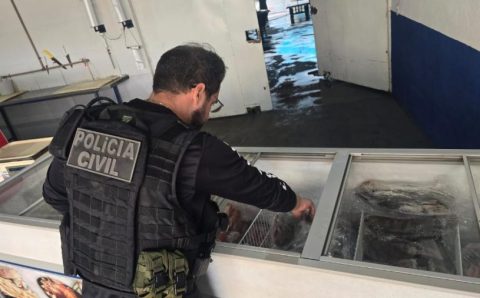 Ação integrada apreende mais de 2 toneladas de pescado irregular em Cuiabá