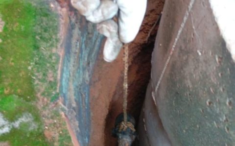 Bombeiros salvam filhote de cachorro que caiu em cisterna com água