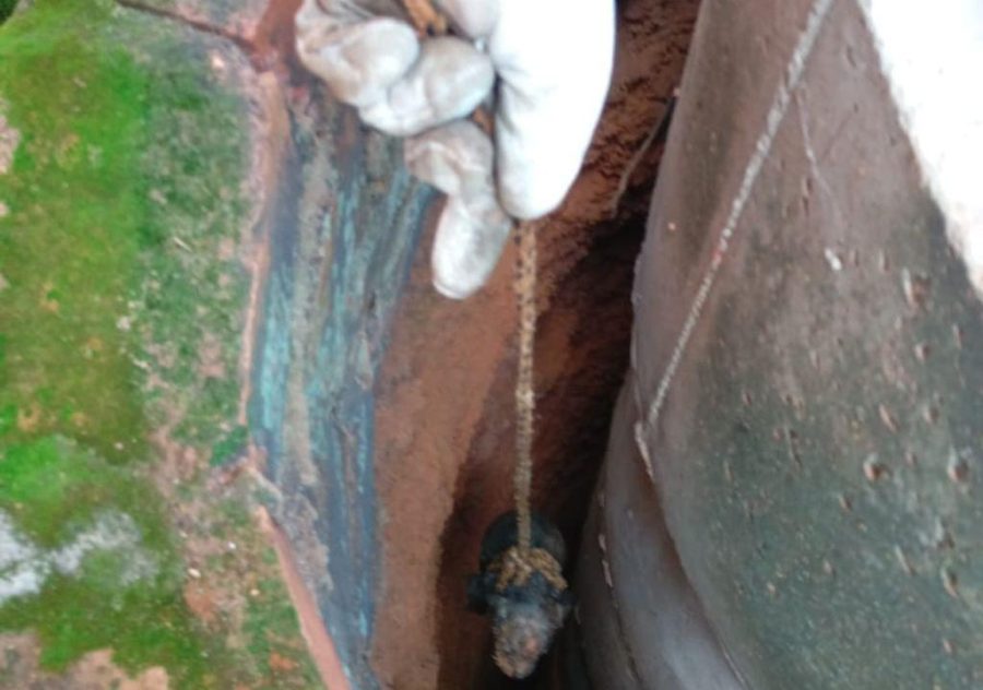 Bombeiros salvam filhote de cachorro que caiu em cisterna com água