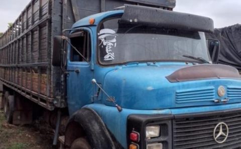 Sejus realiza leilão de bens apreendidos de traficantes e arrecada recursos para fundo estadual