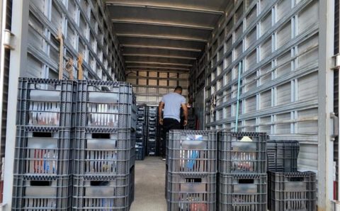 Sejus acompanha entrega de materiais adquiridos por familiares para reeducandos