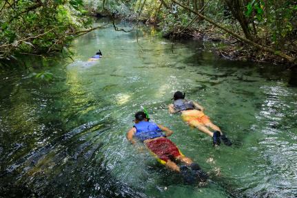 Plataforma de turismo permite conhecer atrativos de Mato Grosso e planejar roteiros