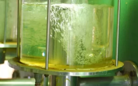 MT:  Etanol hidratado sobe em Mato Grosso e encosta no maior valor desde 2022