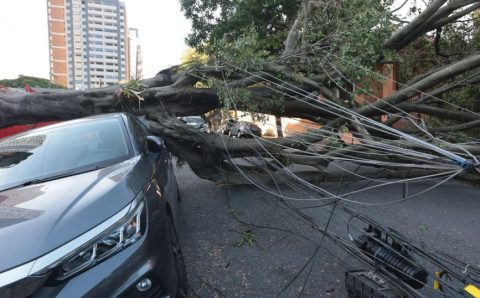 Comércio perde mais de R$ 50 milhões com falta de energia em São Paulo
