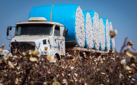 Mato Grosso lidera a balança comercial brasileira em 2025