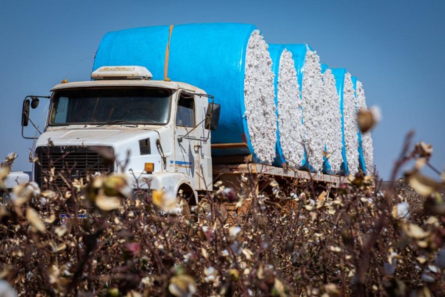 Mato Grosso lidera a balança comercial brasileira em 2025