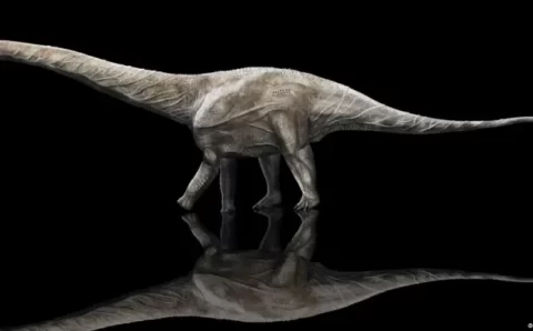CIÊNCIA:   Mamutes e dinossauros eram mais lentos do que se pensava