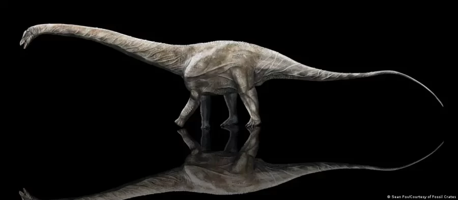CIÊNCIA:   Mamutes e dinossauros eram mais lentos do que se pensava