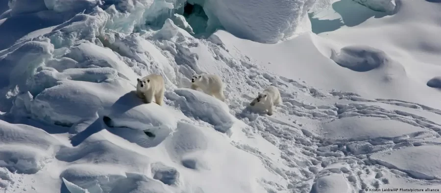 Disputa em torno da Groenlândia põe cientistas em alerta