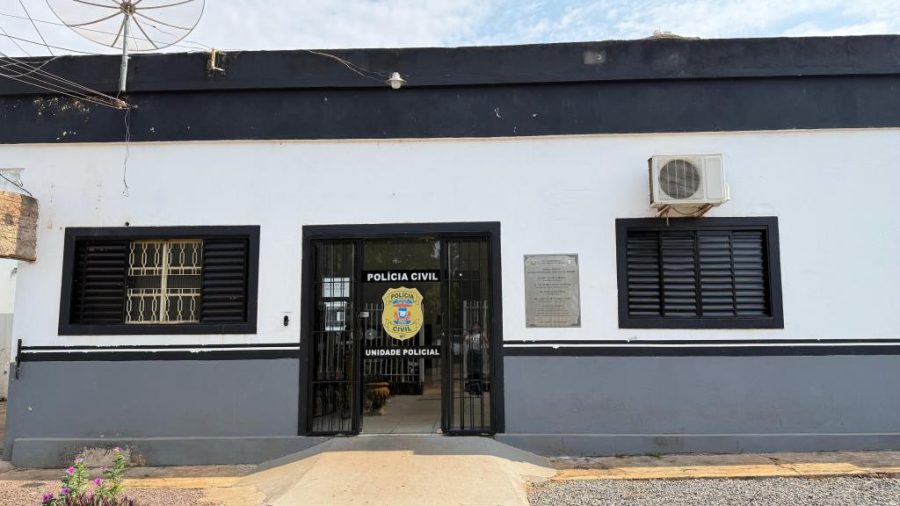 Polícia Civil prende homem por posse irregular de armas de fogo e maus-tratos a bezerros