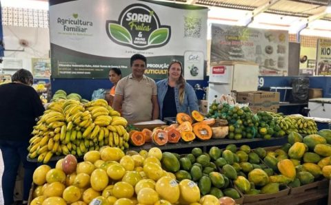 Governo de MT investiu R$ 817 milhões na agricultura familiar dos 142 municípios nos últimos sete anos