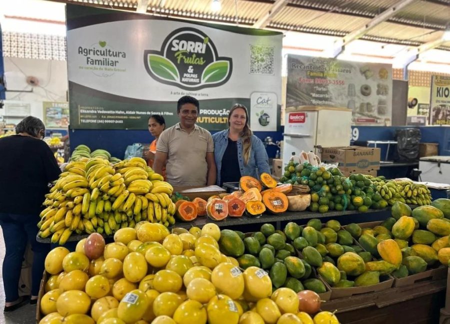 Governo de MT investiu R$ 817 milhões na agricultura familiar dos 142 municípios nos últimos sete anos