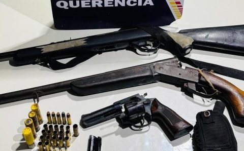 Polícia Militar prende homem por atirar em cachorro e apreende seis armas de fogo