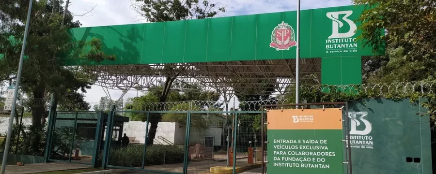 1ª vacina de dose única contra a dengue é aprovada no Brasil