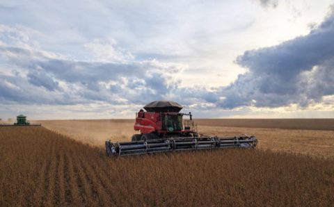 MT:  Aprosoja MT alerta que chuvas desafiam colheita da soja em Mato Grosso