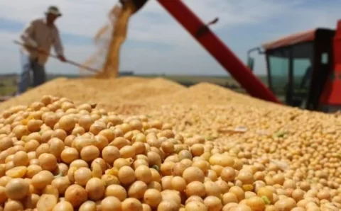 MT:  Colheita pressiona preço da soja e impulsiona margem das indústrias em Mato Grosso