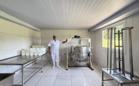 Produtores de pequena escala da Baixada Cuiabana conquistam selo e ampliam mercados em MT