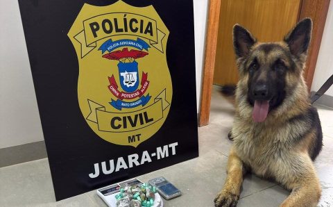 Polícia Civil prende duas mulheres em flagrante por tráfico de drogas em Aripuanã