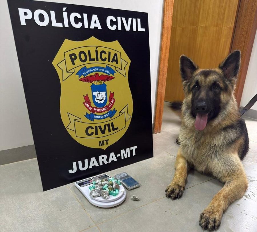 Polícia Civil prende duas mulheres em flagrante por tráfico de drogas em Aripuanã