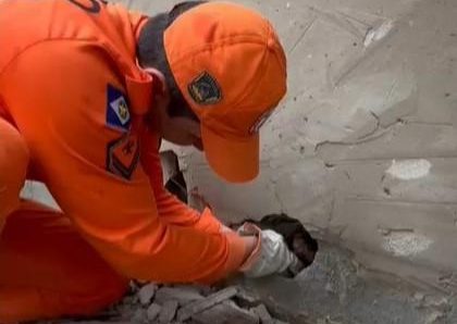 Bombeiros militares salvam quatro filhotes de cachorro que estavam presos em vão entre paredes