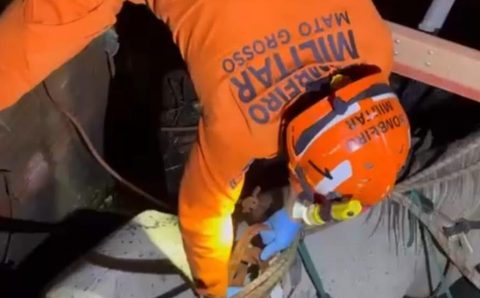 Corpo de Bombeiros resgata cavalo que caiu em poço de residência em Várzea Grande