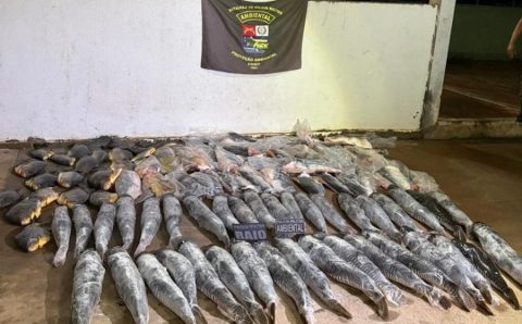 Batalhão Ambiental da PM prende homem com mais de 340 quilos de pescado ilegal em Cuiabá