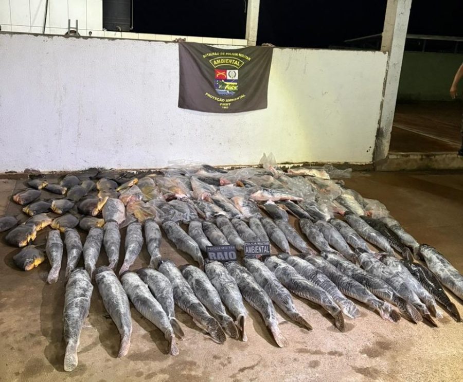 Batalhão Ambiental da PM prende homem com mais de 340 quilos de pescado ilegal em Cuiabá