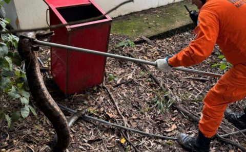 Bombeiros militares resgatam jiboia que estava em Estação de Tratamento de Esgoto do município