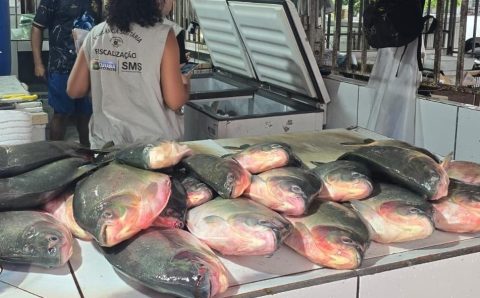 Operação conjunta apreende aproximadamente meia tonelada de pescado irregular em feira da Capital