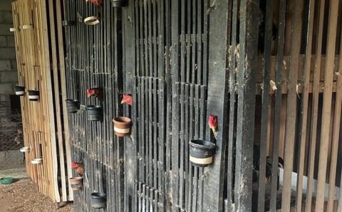 Polícia Civil e Sema desarticulam rinha de galos na região do Engordador, em Várzea Grande