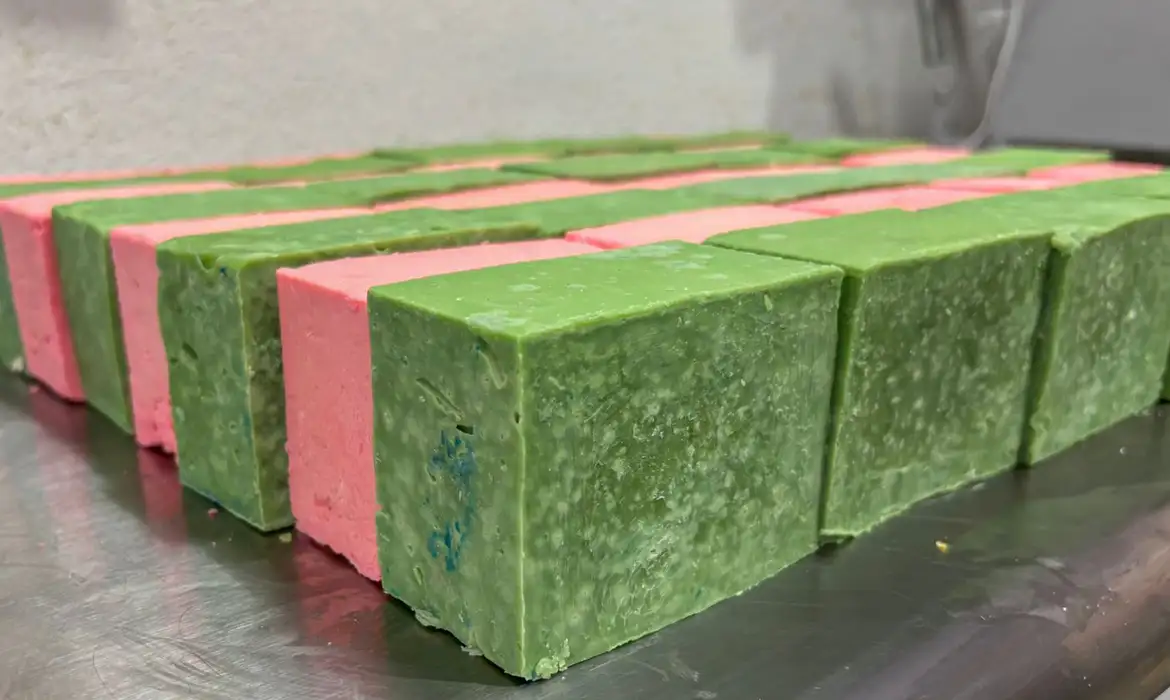 Tecnologia única transforma óleo de cozinha usado em sabão ecológico