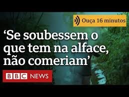 ‘Pessoas preferem não saber o que tem no tomate, alface ou morango. Se soubessem, não comeriam’
