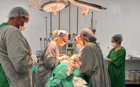 Central Estadual de Transplantes realiza primeira captação órgãos do Hospital Metropolitano