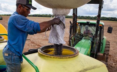 Agropecuária gera mais de 10 mil empregos em Mato Grosso e destaca Estado no cenário nacional