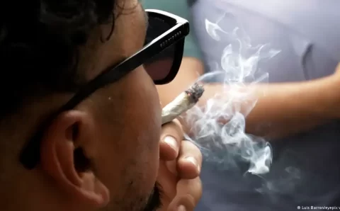 Os riscos do consumo de maconha para adolescentes