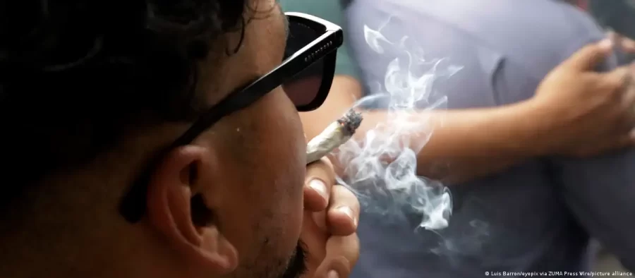 Os riscos do consumo de maconha para adolescentes