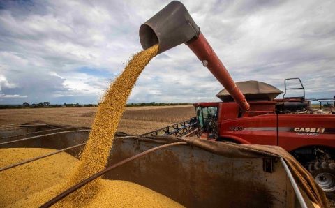 MT:  SOJA:  IMEA projeta safra recorde de soja em Mato Grosso com produtividade acima das últimas safras
