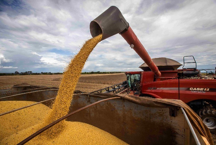 MT:  SOJA:  IMEA projeta safra recorde de soja em Mato Grosso com produtividade acima das últimas safras