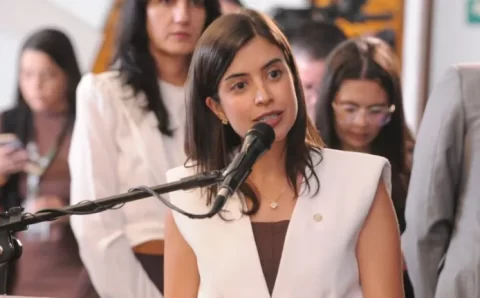 Comissão aprova Anna Nery como patrona da enfermagem no Brasil