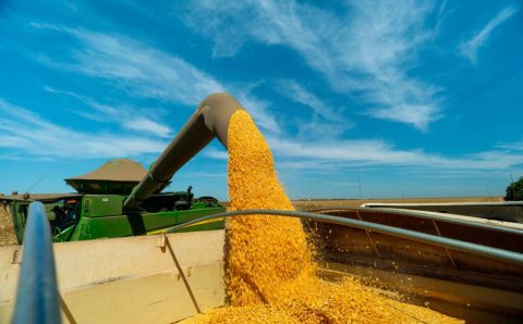 MT:  Etanol de milho ganha destaque e Mato Grosso se consolida como o maior produtor de biocombustível