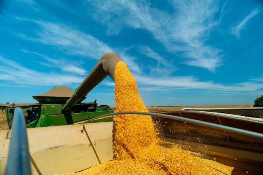 MT:  Etanol de milho ganha destaque e Mato Grosso se consolida como o maior produtor de biocombustível