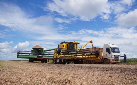 Famato celebra aprovação de projeto que moderniza a Lei do Trabalho Rural