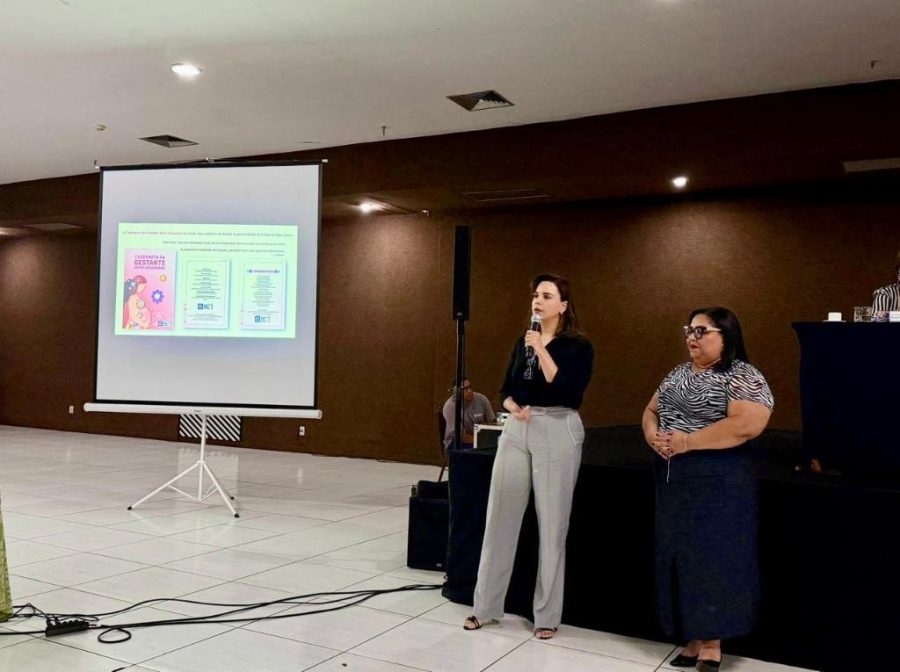 SES lança Caderneta da Gestante em Mato Grosso durante o mês das mulheres