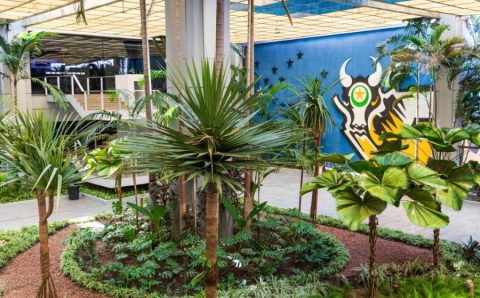 Governo de MT assina nesta quarta-feira (4) ato que credencia lotéricas para receber tributos estaduais