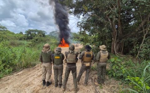 Polícia Civil deflagra Operação Logging e causa prejuízo de R$ 3,5 milhões ao crime ambiental em Mato Grosso