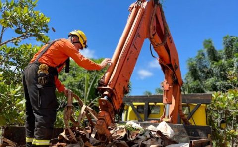Corpo de Bombeiros resgata anta ferida às margens da BR-163