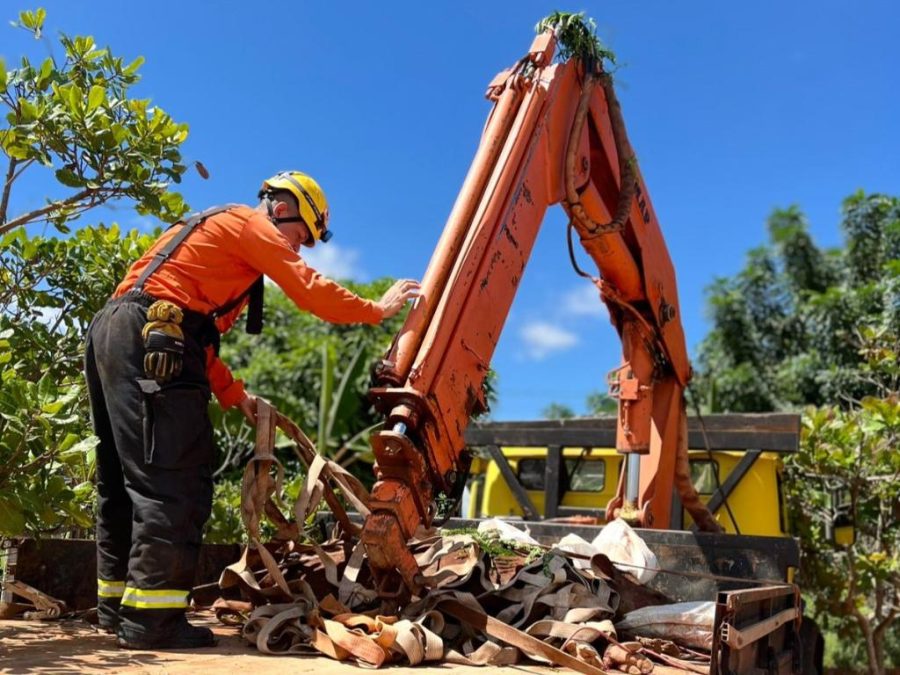 Corpo de Bombeiros resgata anta ferida às margens da BR-163