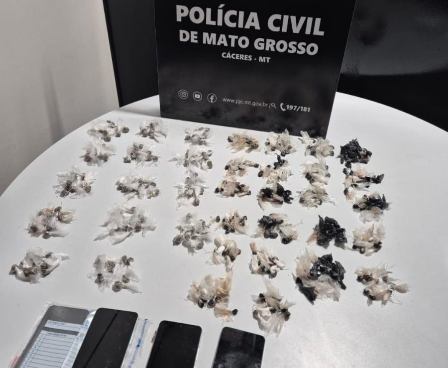 Polícia Civil deflagra operação para combater crimes praticados por membros de facção