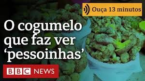 O misterioso cogumelo que faz as pessoas verem ‘pessoinhas’